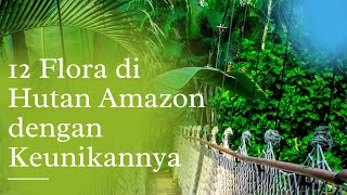 12 Jenis Tumbuhan yang Ada di Hutan Amazon