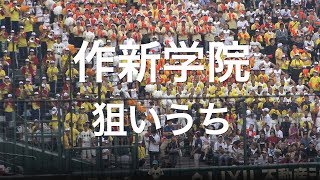 作新学院 狙いうち 高校野球応援 2019夏 【第101回 全国高等学校野球選手権大会】【高音質】