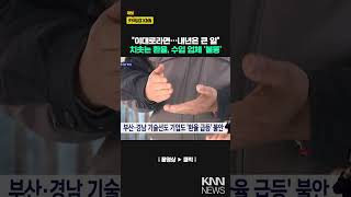 환율 상승에 주가 널뛰기..'탄핵 정국' 지역 경제 위기감 / KNN