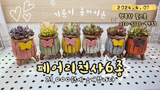 보기만해도 기분이 좋아지는 만족도 120%의 [행복한꽃그릇] 페어리천사6종 소개합니다🤗