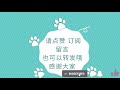 德国牧羊犬日常“等待”训练，德牧能等待多久，挑战德牧的耐心