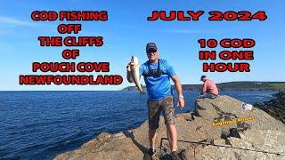 COD FISHING OFF THE CLIFFS OF POUCH COVE NEWFOUNDLAND, JULY 2024 10 COD  IN ONE HOUR