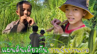 ทุ่งแสงตะวันกิจกรรมวันหยุดของเด็กน้อยชนเผ่าม้งและน้องในหนู