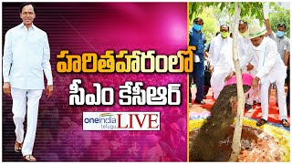 Live: హరిత హారంలో సీఎం కేసీఆర్ | Telugu OneIndia