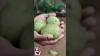 മാങ്ങ പൊട്ടിത്തെറിച്ചത് 🤤#shortvideo #youtubeshorts#shorts #mango #mangorecipe #malayalam #new