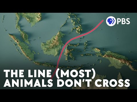 How did natural barriers affect China?