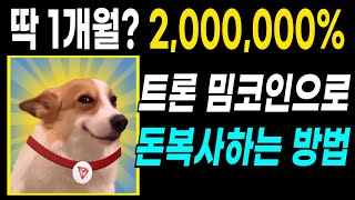 극초기 밈코인은 100배가 아니라 1000배 ㄷㄷ - 밈코인 사는방법 / Sunpump 이용법