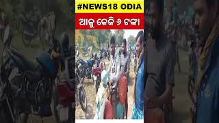 ଆଳୁ କେଜି ୬ ଟଙ୍କା ବୋହି ନେଲେ ଲୋକେ | Potatoes cost Rs 6 per kg | Odia News | Balasore News