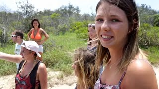 Fraser Island, heaven or hell?