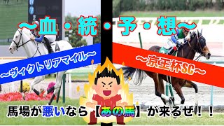 【ヴィクトリアマイル 2022 】【京王杯SC 2022】連続的中なるか！？馬場が悪いならこの馬で決まり！！