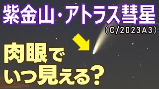 紫金山・アトラス彗星の絶景を見逃さないために！10月に肉眼で見つけるには（C/2023A3）