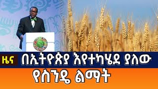 በኢትዮጵያ እየተካሄደ ያለው የስንዴ ልማት ለውጥ እያመጣ መሆኑ ተገለፀ