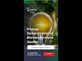 Process Demonstration of Biomass Pyrolysis Gasific