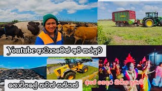 ෆාම් එකේ ගෙවෙන තවත් දවසක් || Dairy farming in New Zealand 🇳🇿#travelfarmer