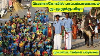 வெள்ளகோவில் | பாப்பம்பாளையம் | குடமுழுக்கு விழா | முளைப்பாலிகை ஊர்வலம்