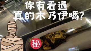 第一天大埃及博物館巡禮，時差還沒調過來歷史左耳進右耳出EP1