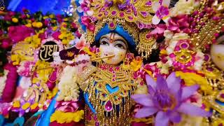 राधा नाम कीर्तन #radhmohan  #राधामोहन #shyam #राधेश्याम #radhemohan #कृष्णा @ श्री राधा केली कुंज