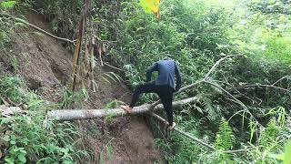 Nong than thuong. Harvesting jackfruit, star fruit, cooking rice in a bamboo hut