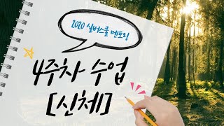 2020 실버스쿨 멘토링 4주차 수업[신체] \