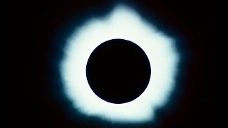 Here's How Animals Might React To The Solar Eclipse