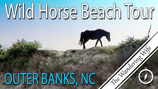 🇺🇸 NORTH CAROLINA: Wild Horse Beach 4X4 Tour | TRAVEL VLOG #0135