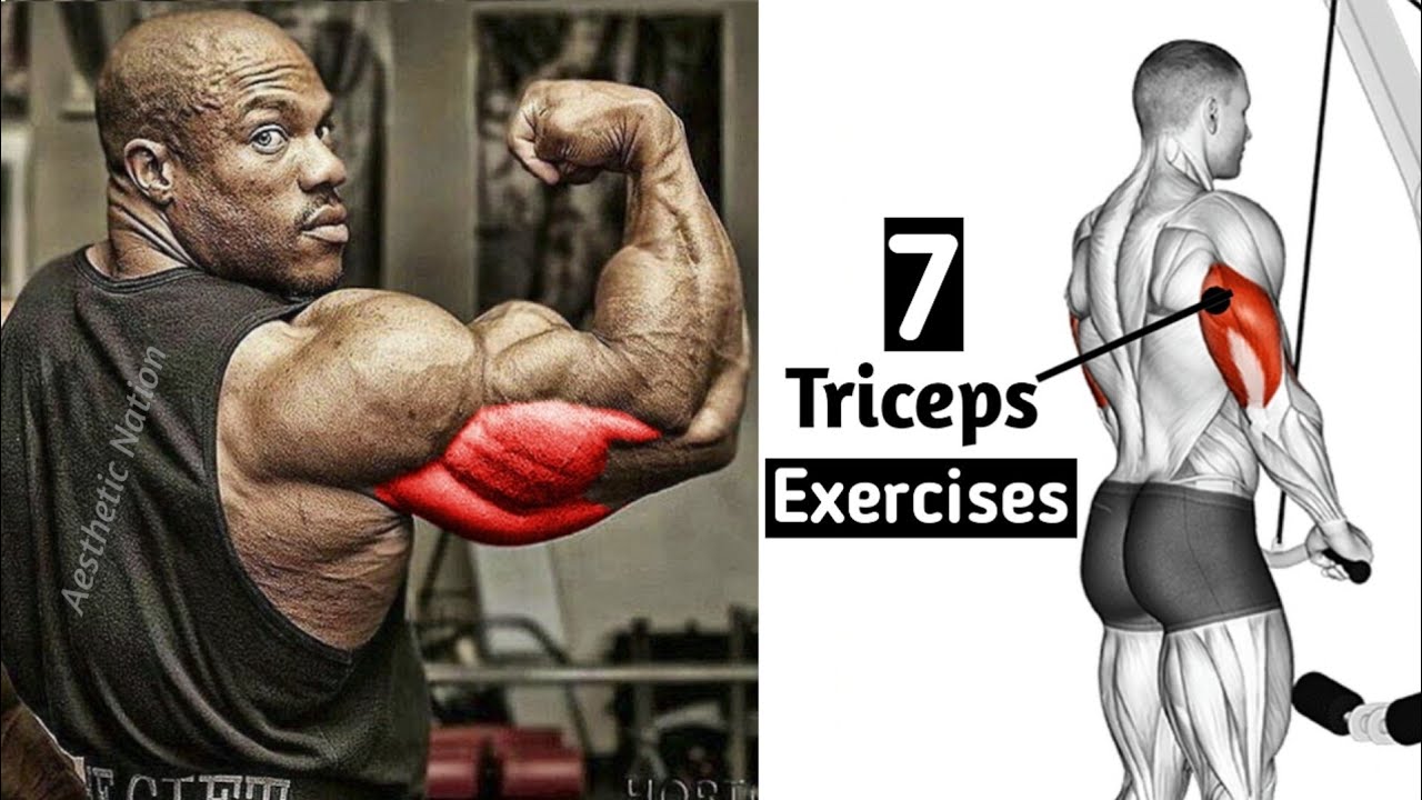 7 BEST Triceps Exercises - TRICEPS WORKOUT FOR MASS - YouTube