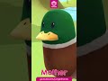 Five Little Ducks - Jungle Friends Nursery Rhymes - Short