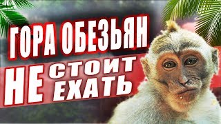 Гора обезьян острова Пхукет. Стоит ли ехать ?!