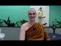 akāliko bhikkhu cultivating the awakening factors