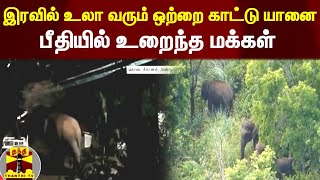 நள்ளிரவில் உலா வரும் ஒற்றை காட்டு யானை.. பீதியில் உறைந்த மக்கள் | Kodaikanal | Dindigul