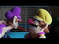 Wario's Pet Guinea Pigs! - Super Mario Richie