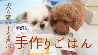 【ココグルメ】大切な愛犬と少しでも長く暮らせるように～多頭飼い～チワワ・シーズー・ミニチュアピンシャー・トイプードル