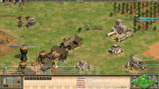 AoE2 - Expert Teamgame! Lyx goes YOLO