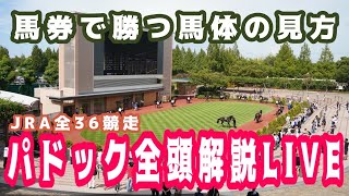 【JRAライブ】競馬記者が全レースのパドックを解説【東京新聞杯、きさらぎ賞】