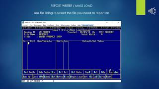 Epicor Eclipse ERP ETerm Report Writer / Mass Load Tool