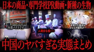 【切り抜き】中国のヤバすぎる実態まとめ【たっくーTV/作業用】