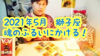 2021年5月　獅子座♌　　　　　　　　魂のふるいにかける見極め！