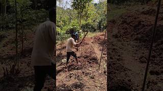 మా కాఫీ తోట సాగు కష్టాలు | The difficulties of coffee plantation cultivation