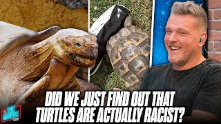 Pat McAfee EXPOSES Turtles As Racists With Some Exquisite Journalism