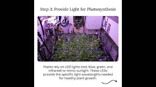 How to Grow Plants In Space