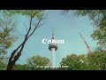 Canon R8 Korea 4K | Cinematic Video in 2024