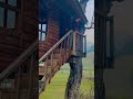 Tree House at Betaab Valley || Pahalgam || Kashmir ||  Lifescapes With Kusum || #treehouse #kashmir