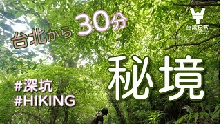 【台北近郊でハイキング】深坑の山中で希少なお茶とめぐり合う〜絶景とふれあいと試練と〜【台湾在住日本人OLの日常VLOG】