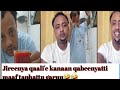 #seeneet oro#😂😂Jireenya qaali'e kanaan qabeenya hin qisaassesinaa😱🙈🙈ABtube#donkeytube#love