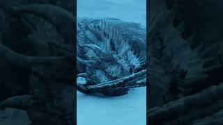 THE NIGHT KING KILLED THE DRAGON AND TOOK IT TO HIS SIDE.#gameofthrones #thenightking #shortsvideo