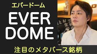 【青汁王子】注目のメタバース銘柄EVERDOMEの可能性【ライブ配信　 切り抜き】