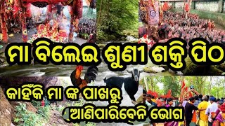 ମା ବିଲେଇଶୁଣି ଶକ୍ତି ପୀଠ // MAA BILEISUNI SHAKTI PITHA DHENKANAL//#trending video #hindutemple