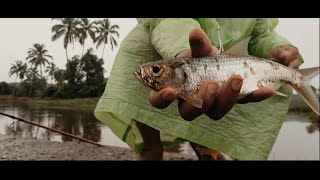 Monsoon Tarpon Fishing | 2024| Goa| Mustad Burpy Popper.