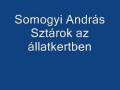 Somogyi András a Rádiókabaréban