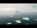 ওয়েডেল সাগর weddell sea